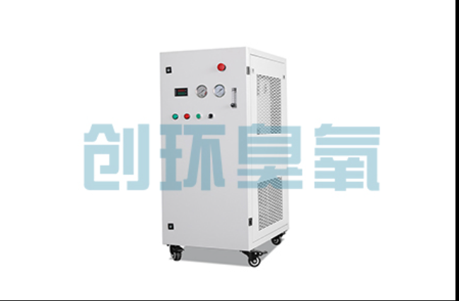 昌江工厂化养鲈必看：2026年臭氧发生器替代传统消毒的最新方案