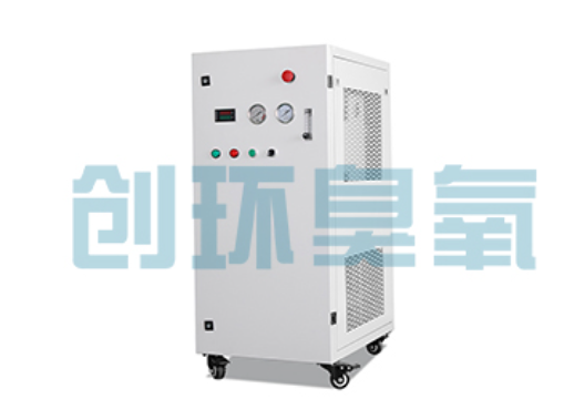 昌江石斑鱼养殖水质调控完整指南：臭氧发生器配置与操作步骤