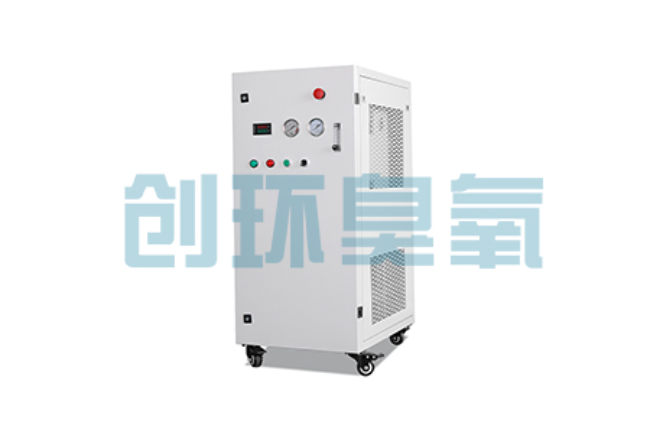 昌江比传统换水更高效？臭氧发生器在石斑鱼养殖中的水质净化原理解析