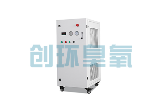 昌江比传统换水更高效？臭氧发生器在石斑鱼养殖中的水质净化原理解析